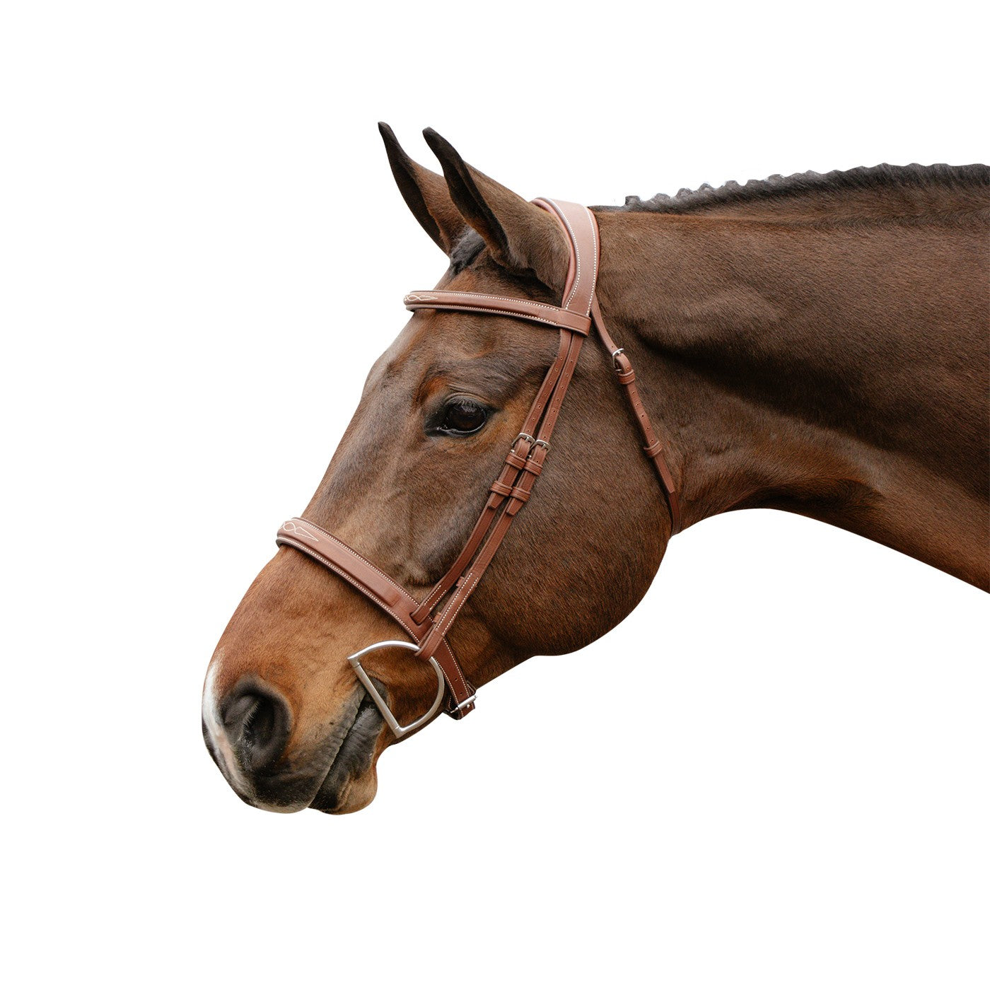 Mondega Gayo Classic Hunter Bridle