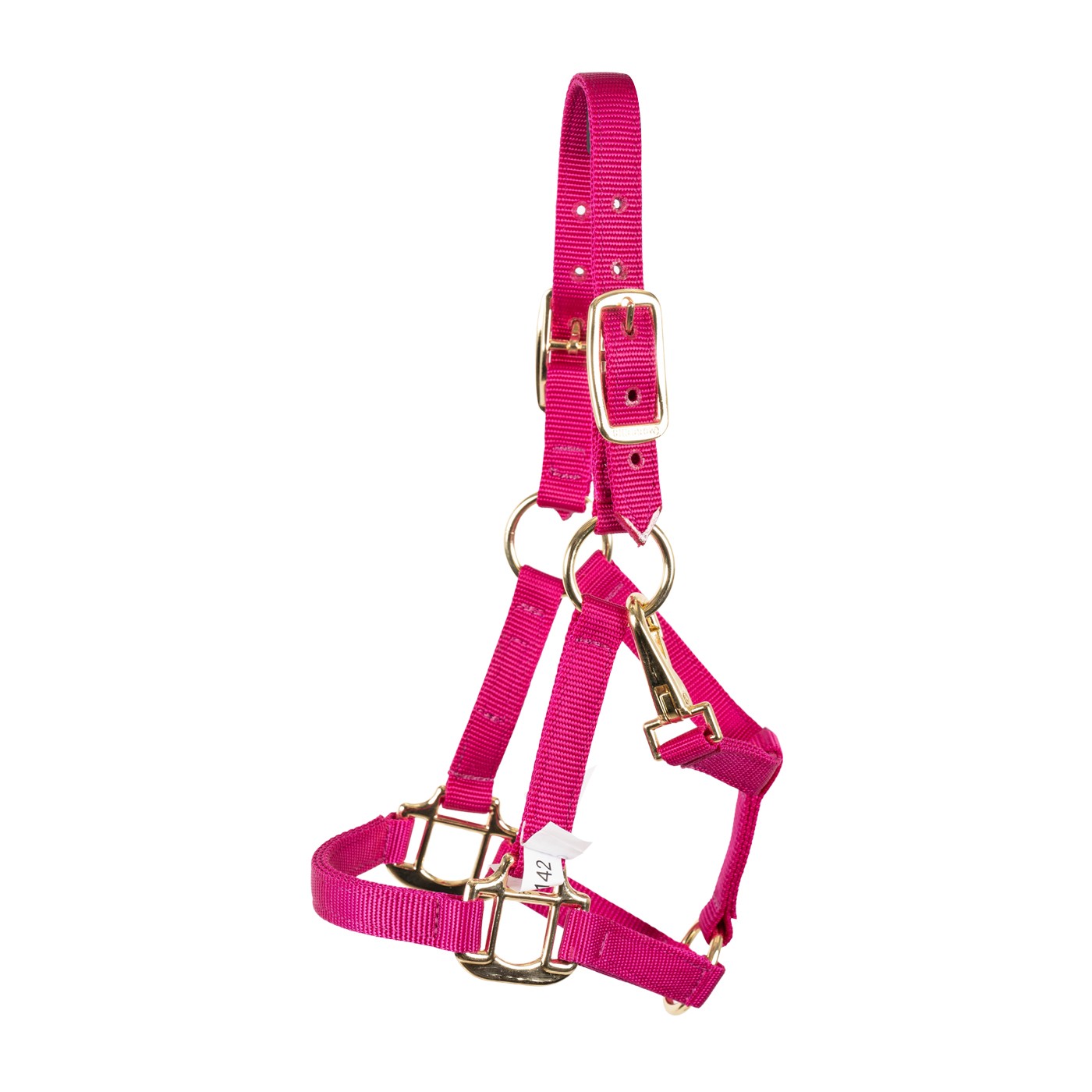 Shedrow Mini Halter