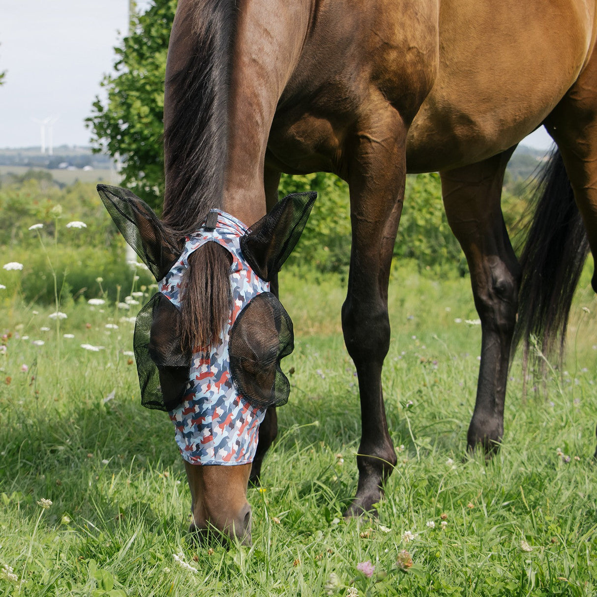 Summit Fly Mask W/ Forelock Hole