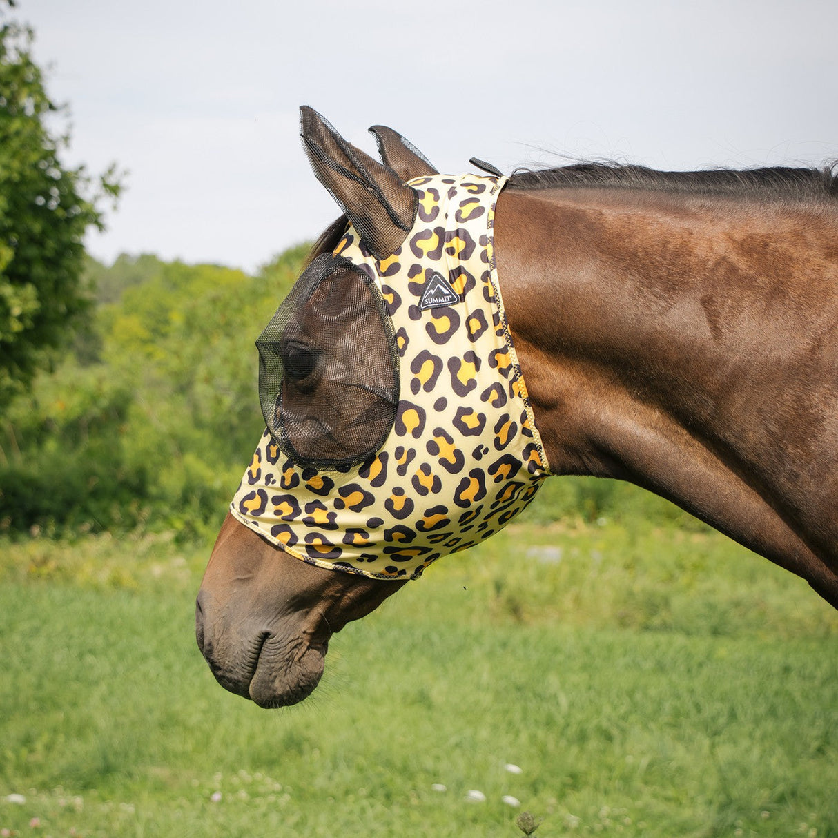 Summit Fly Mask W/ Forelock Hole