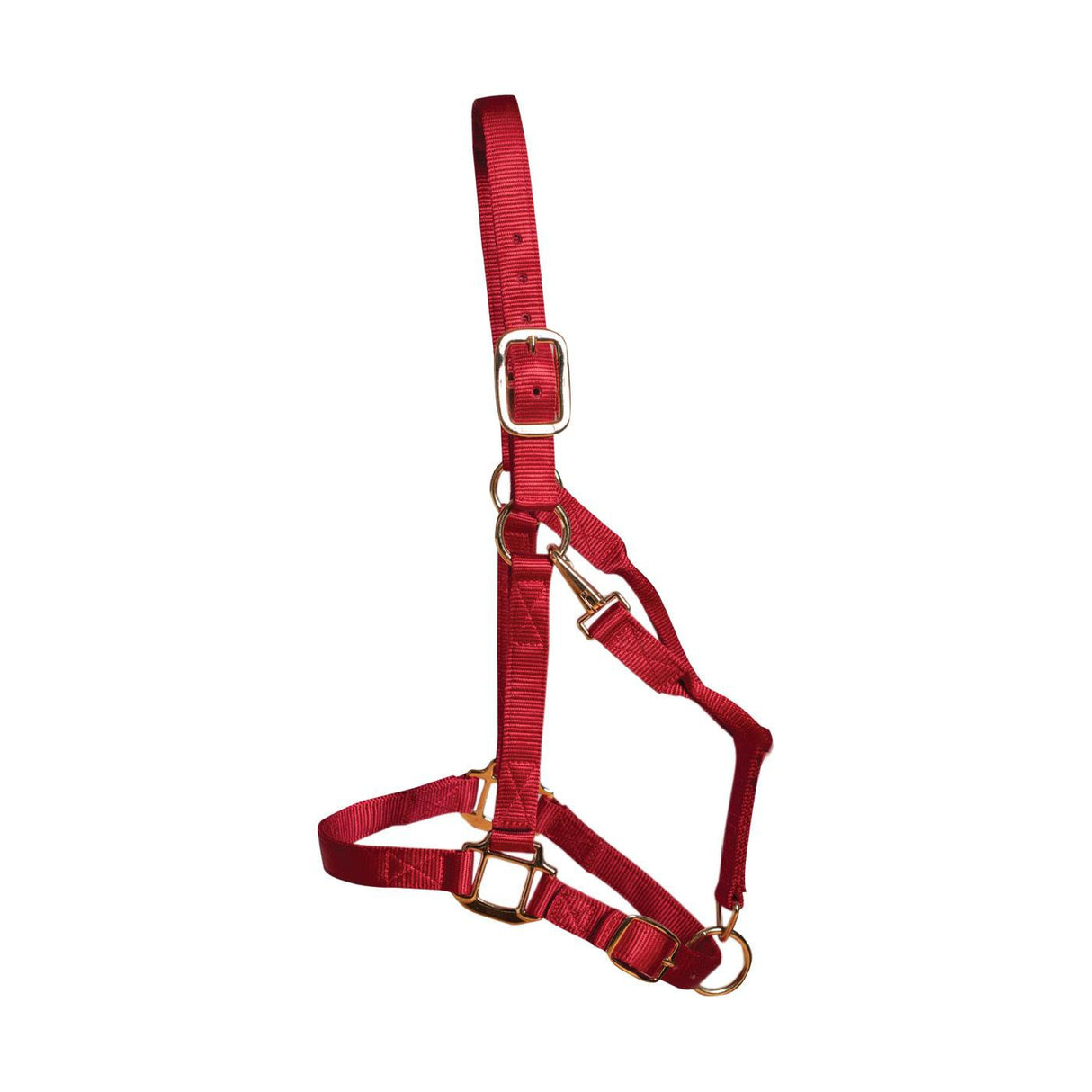 Shedrow Deluxe Halter