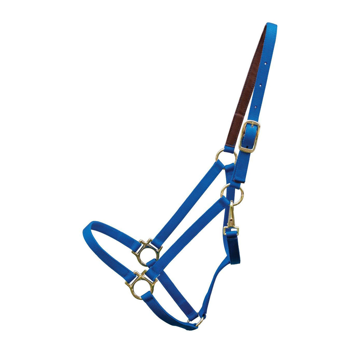 Shedrow Deluxe 3/4 in. Halter