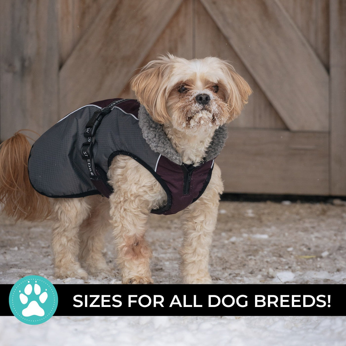 Shedrow K9 Chinook Dog Coat