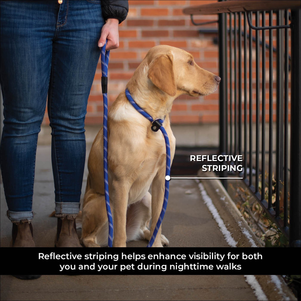 Shedrow K9 Camino Rope Slip Leash