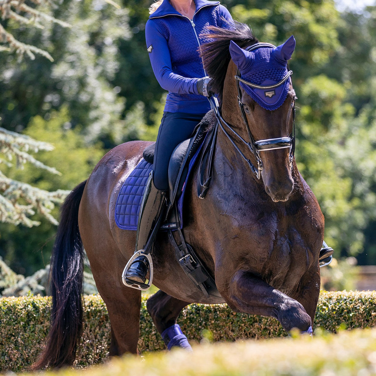 LeMieux Loire Fly Veil