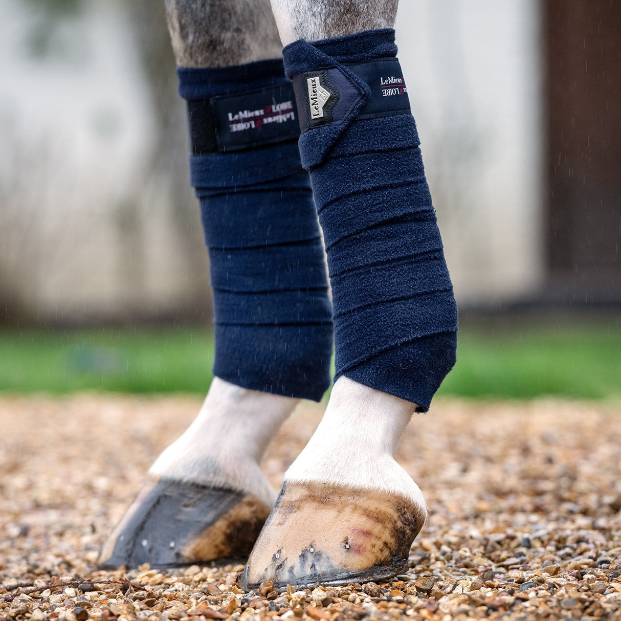 LeMieux Loire Polo Wraps