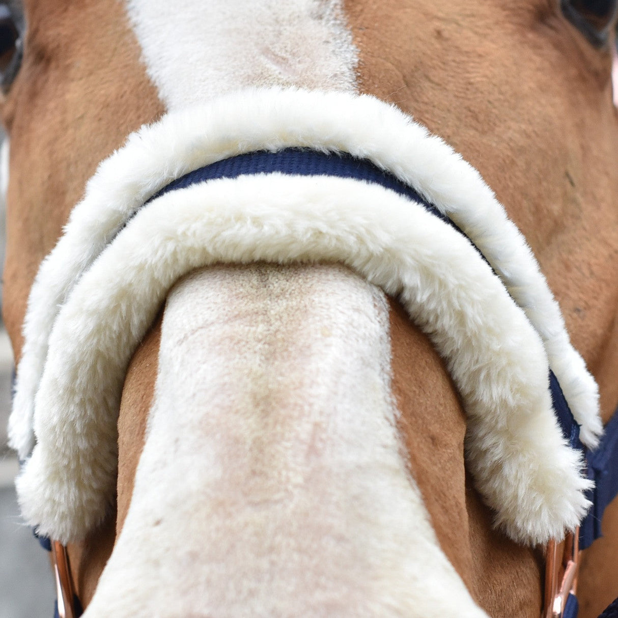Shedrow Rose Gold Sheepskin Lined Halter