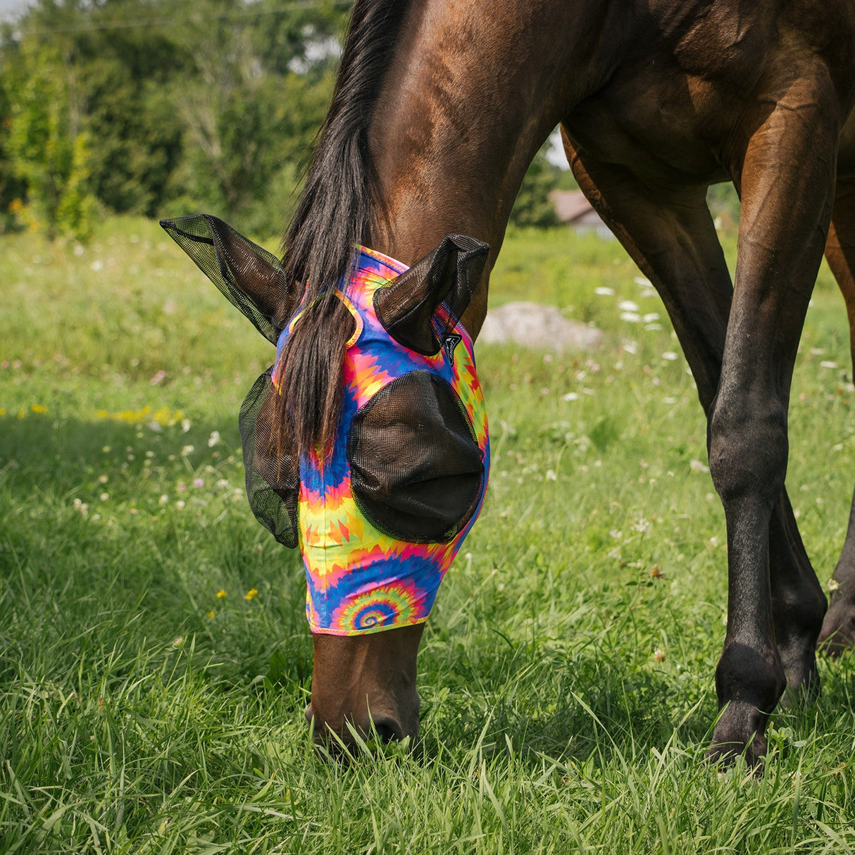 Summit Fly Mask W/ Forelock Hole