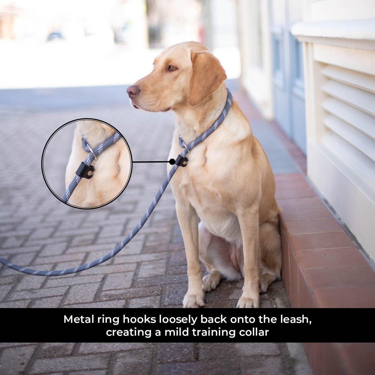 Shedrow K9 Camino Rope Slip Leash