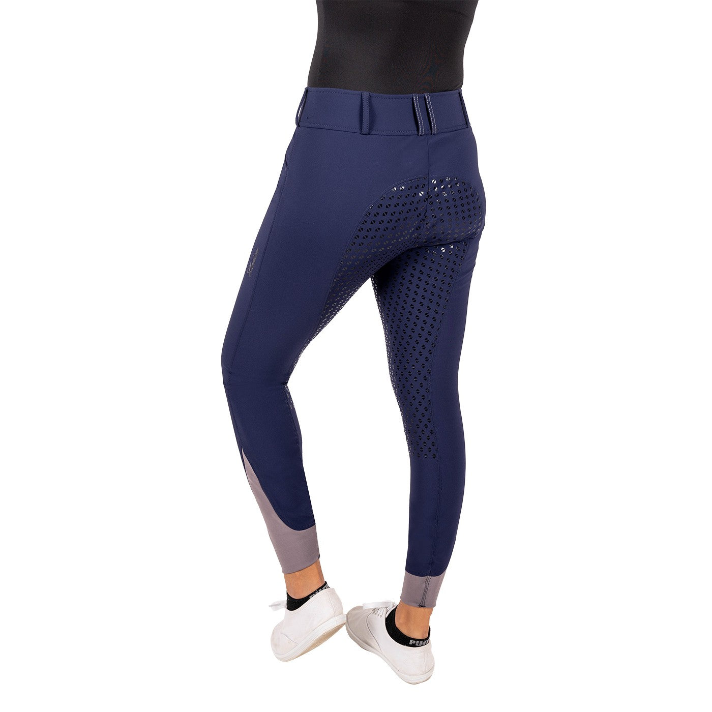 Elation Platinum Morgan Full Seat Breech