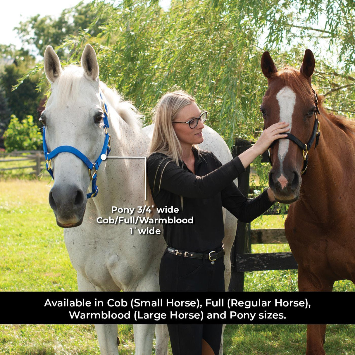 Shedrow Deluxe Halter