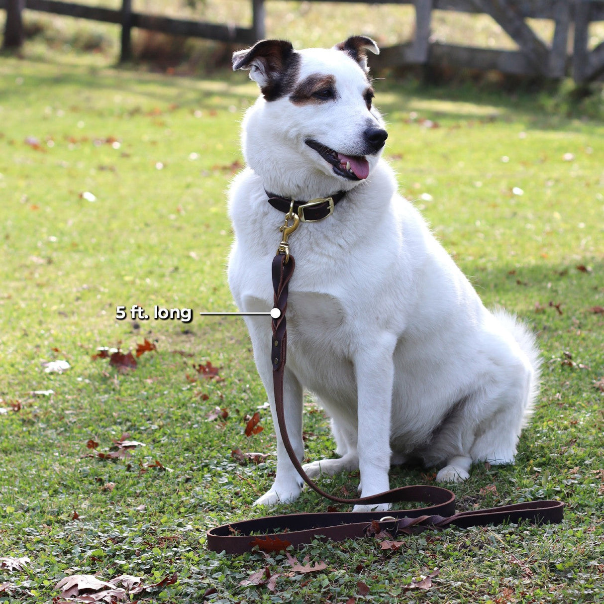 Shedrow K9 Bristol Twisted Leather Leash 5 ft.