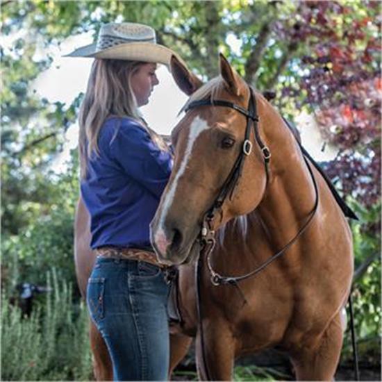 Copper Canyon Bridle Leather Browband Headstall W/ Ties
