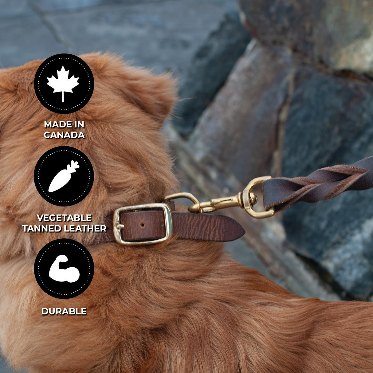 Shedrow K9 Bristol Twisted Leather Leash 5 ft.