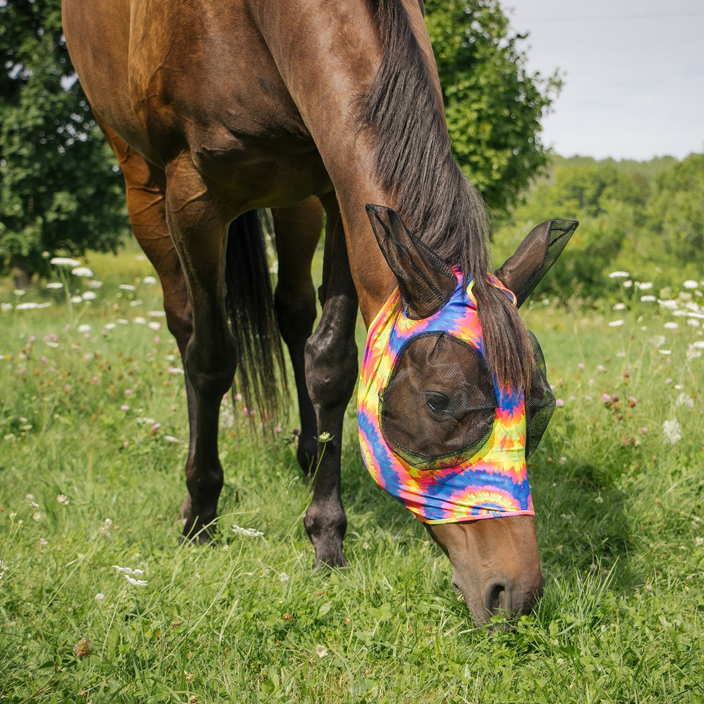 Summit Fly Mask W/ Forelock Hole