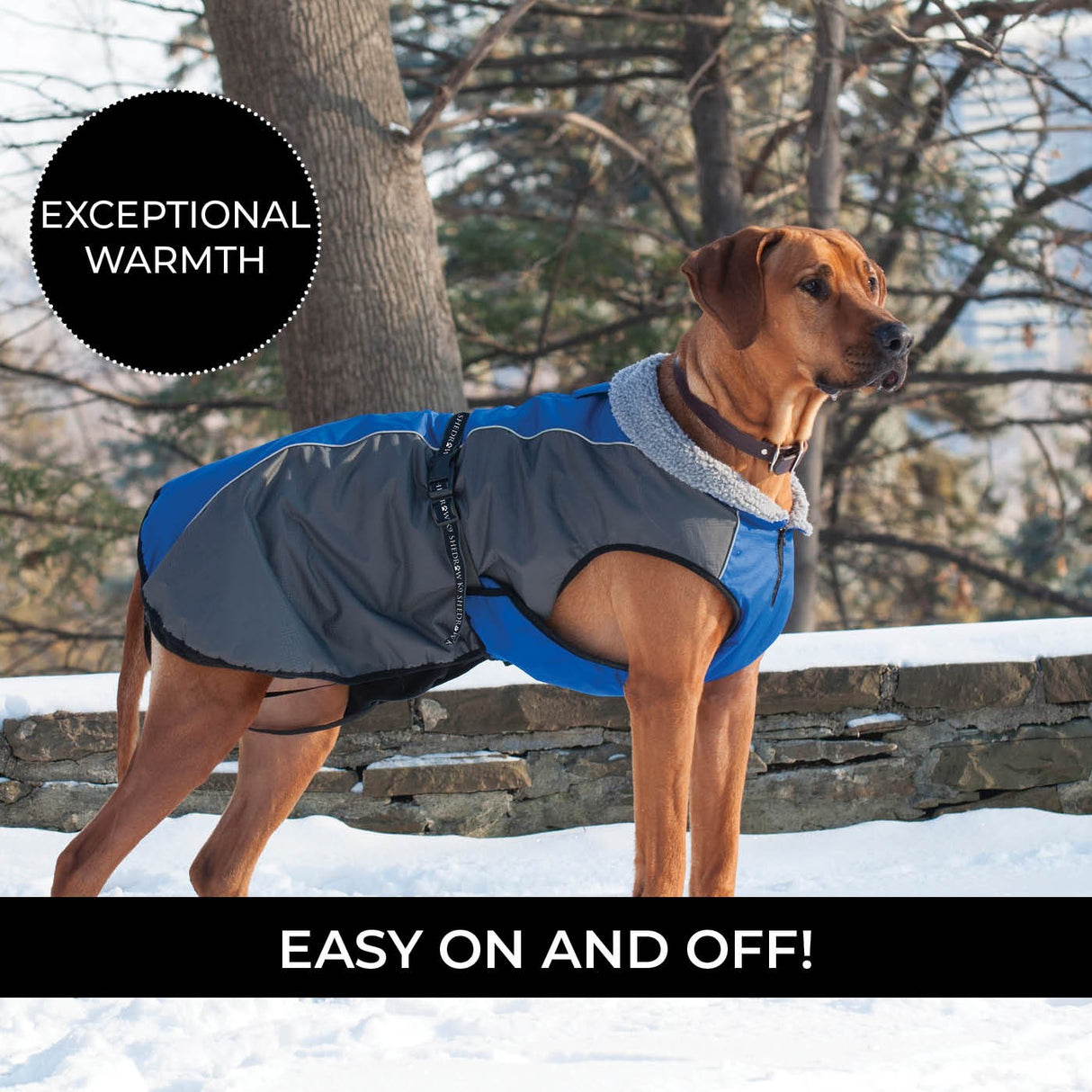 Shedrow K9 Chinook Dog Coat