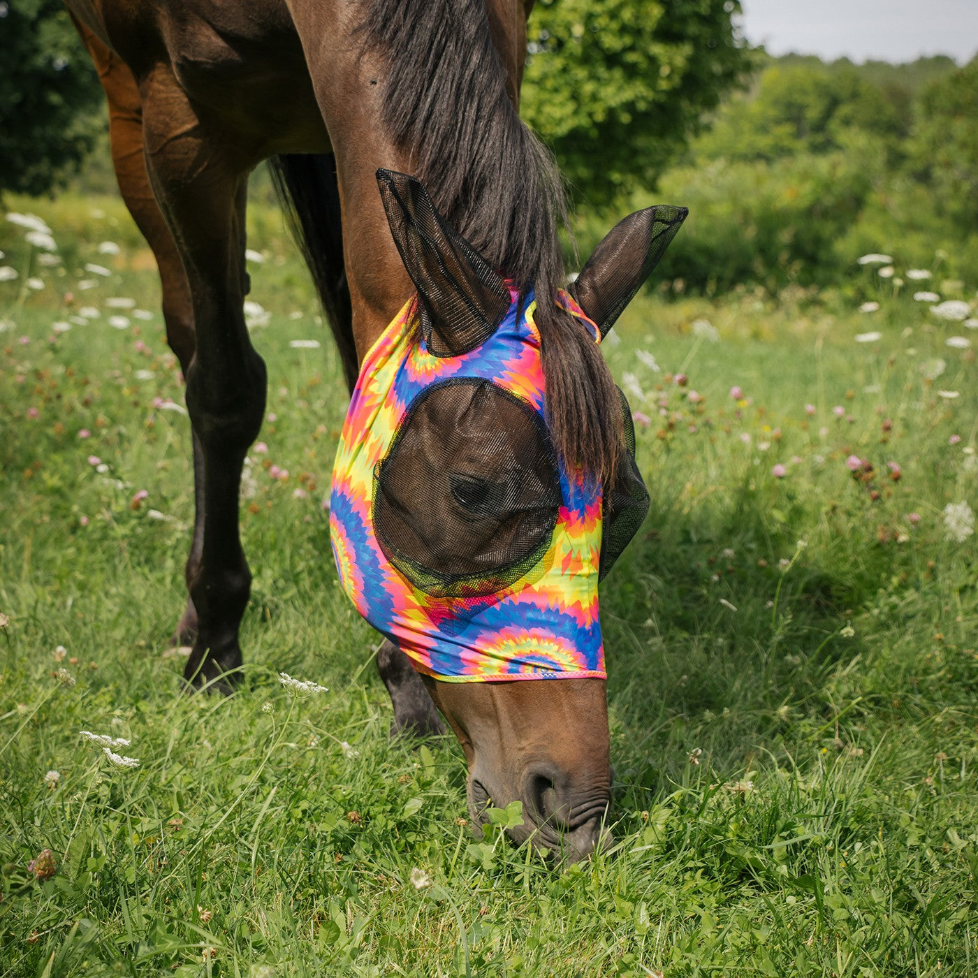 Summit Fly Mask W/ Forelock Hole