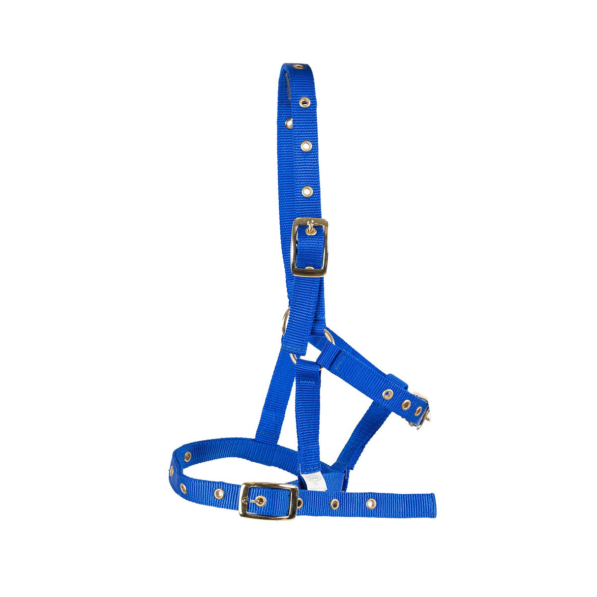 Supra Foal Halter