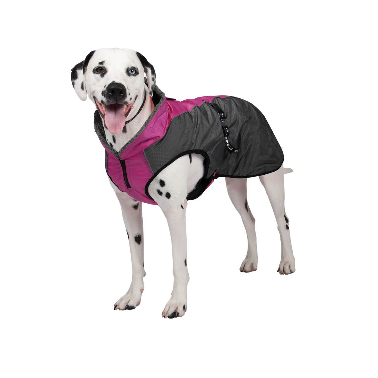 Shedrow K9 Chinook Dog Coat
