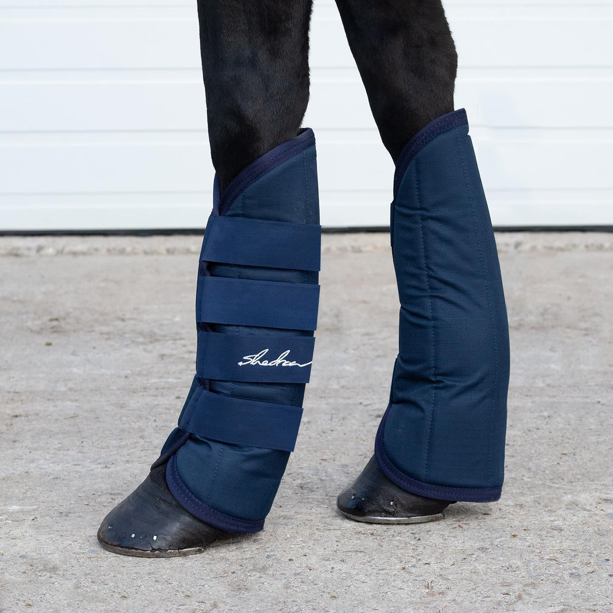 Shedrow Shipping Boots