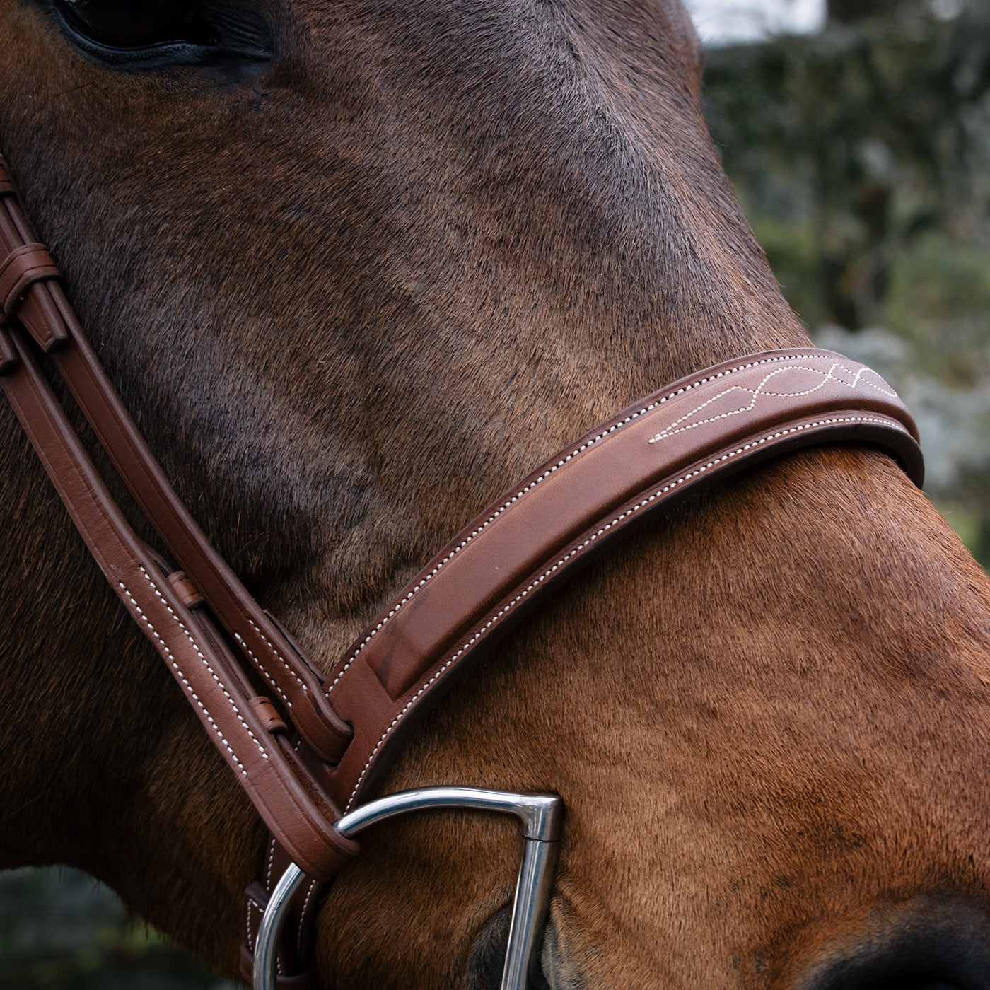 Mondega Gayo Classic Hunter Bridle