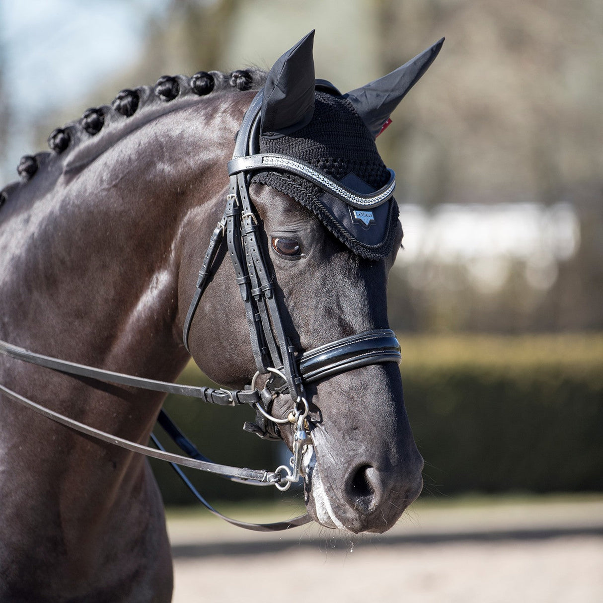 LeMieux Loire Fly Veil