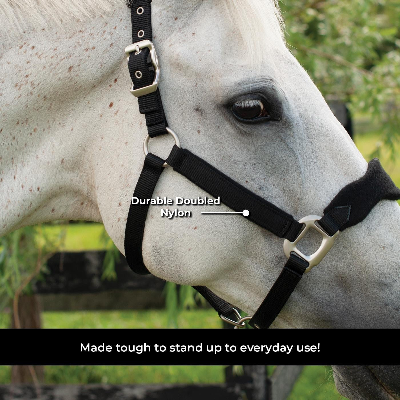 Shedrow Breakaway Halter W/ Fleece