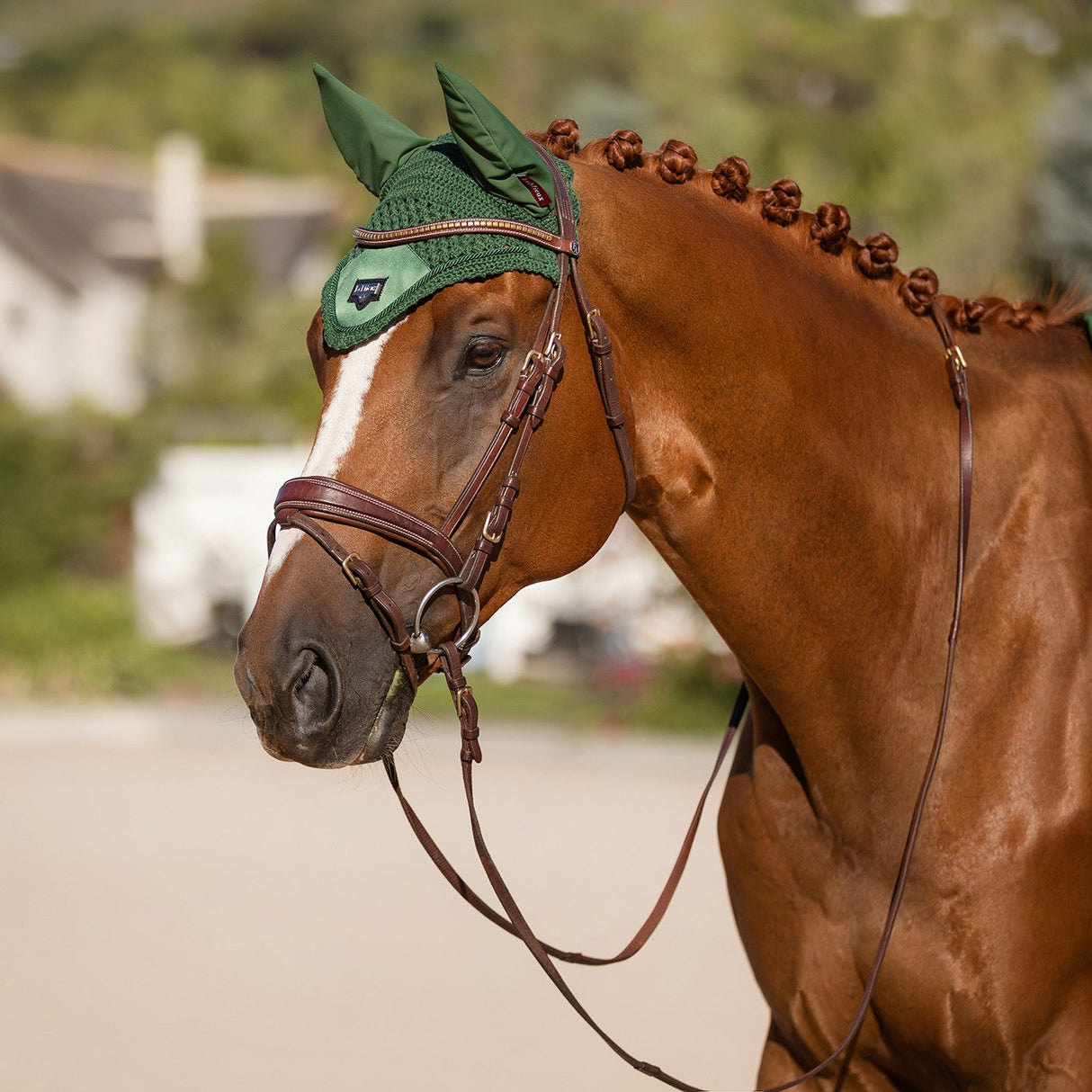 LeMieux Loire Fly Veil