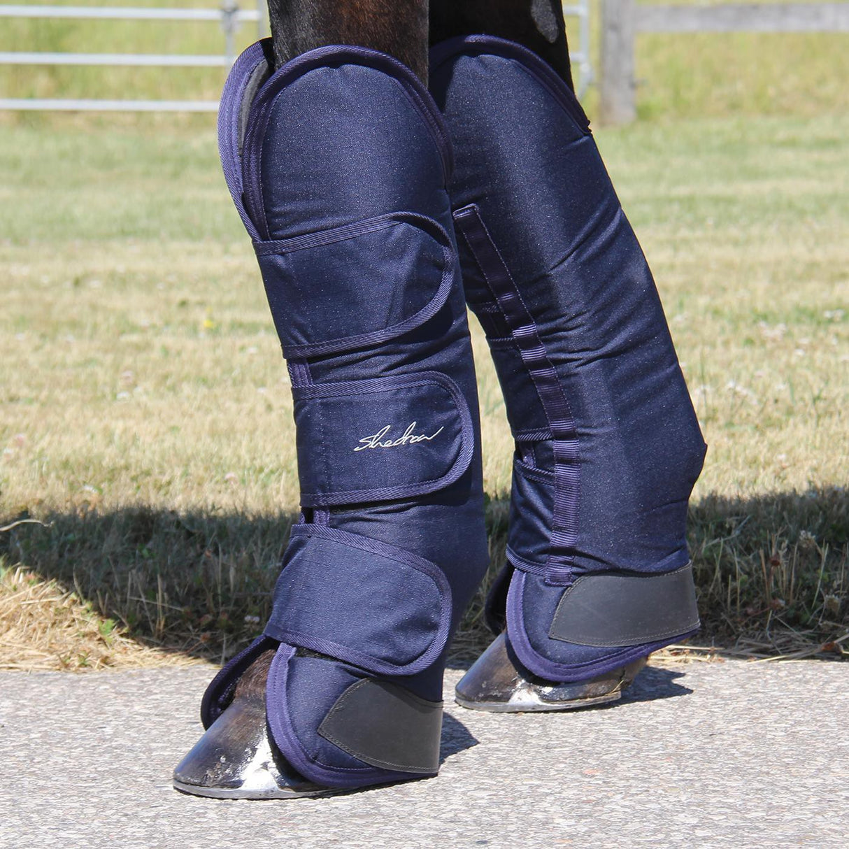 Shedrow Pro Shipping Boots