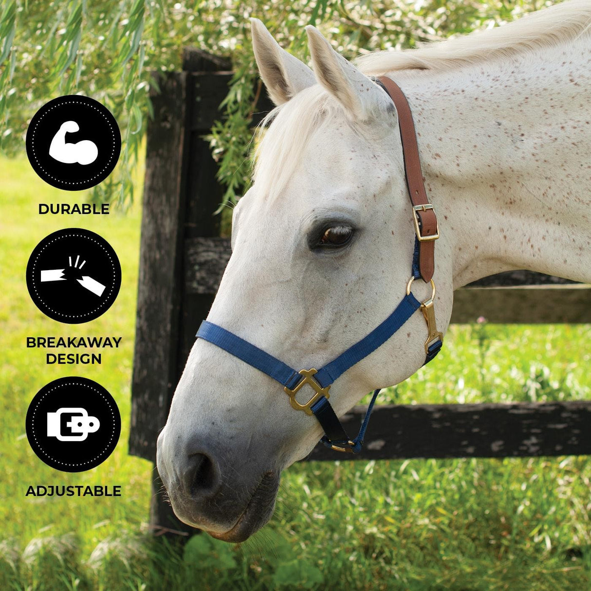 Supra Nylon Halter W/ Leather Crown