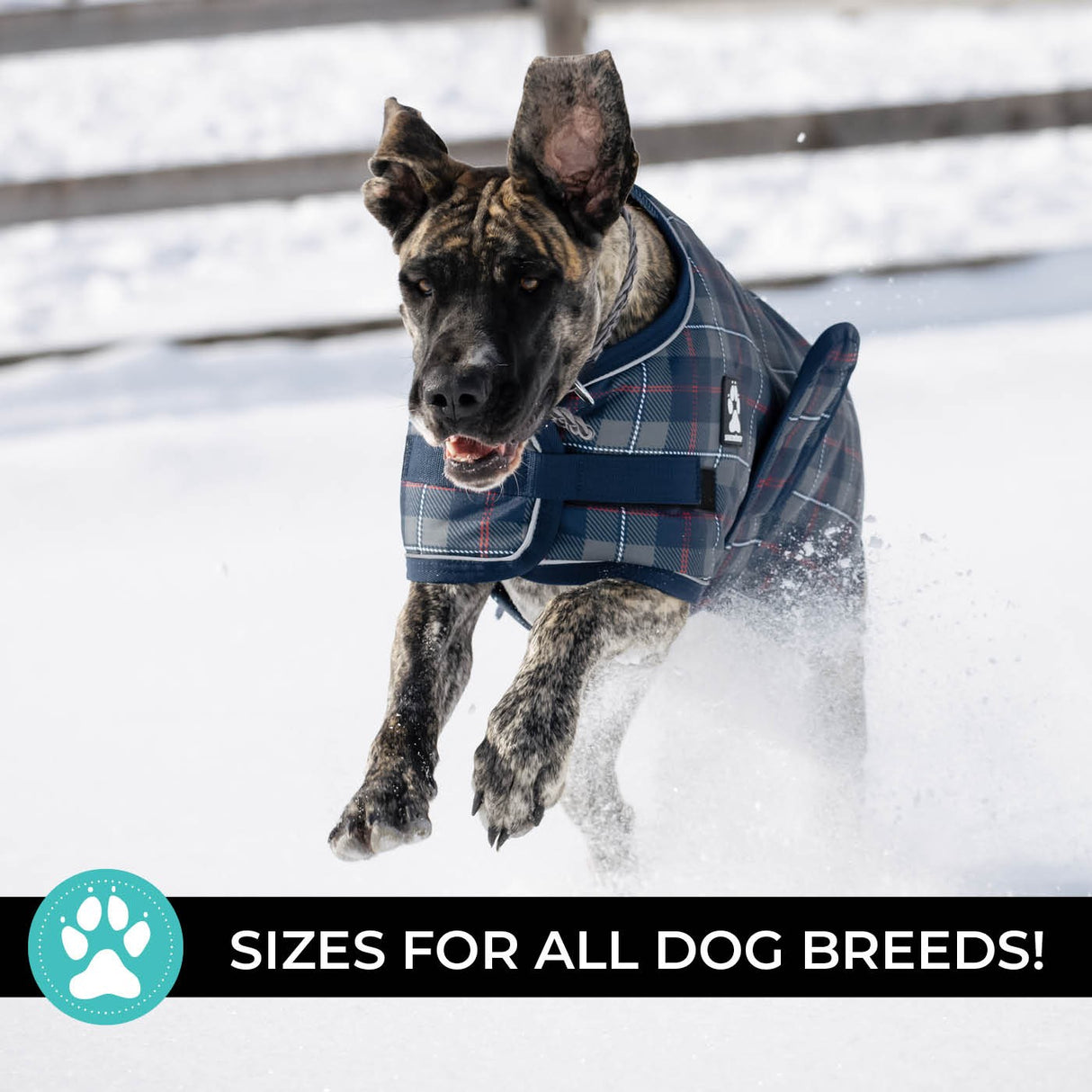 Shedrow K9 Expedition Dog Coat