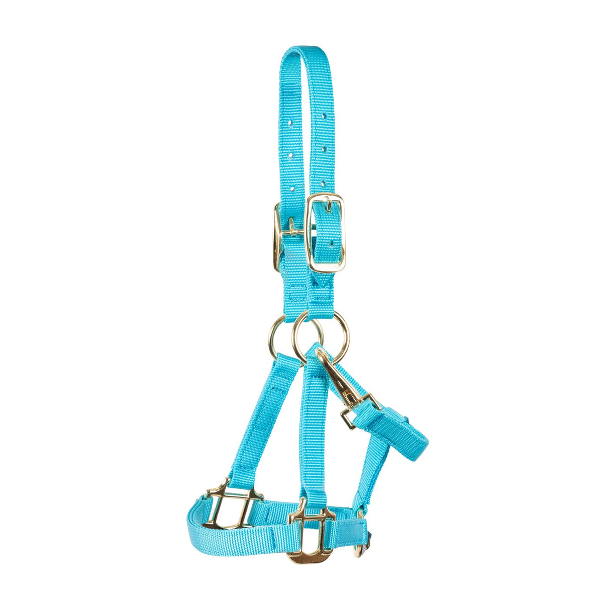 Shedrow Mini Halter