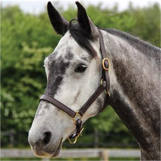 Connemara Leather Halter
