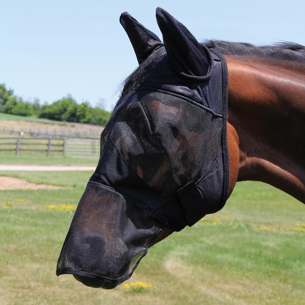 Shedrow Fly Mask W/ Ears & Nose Cover