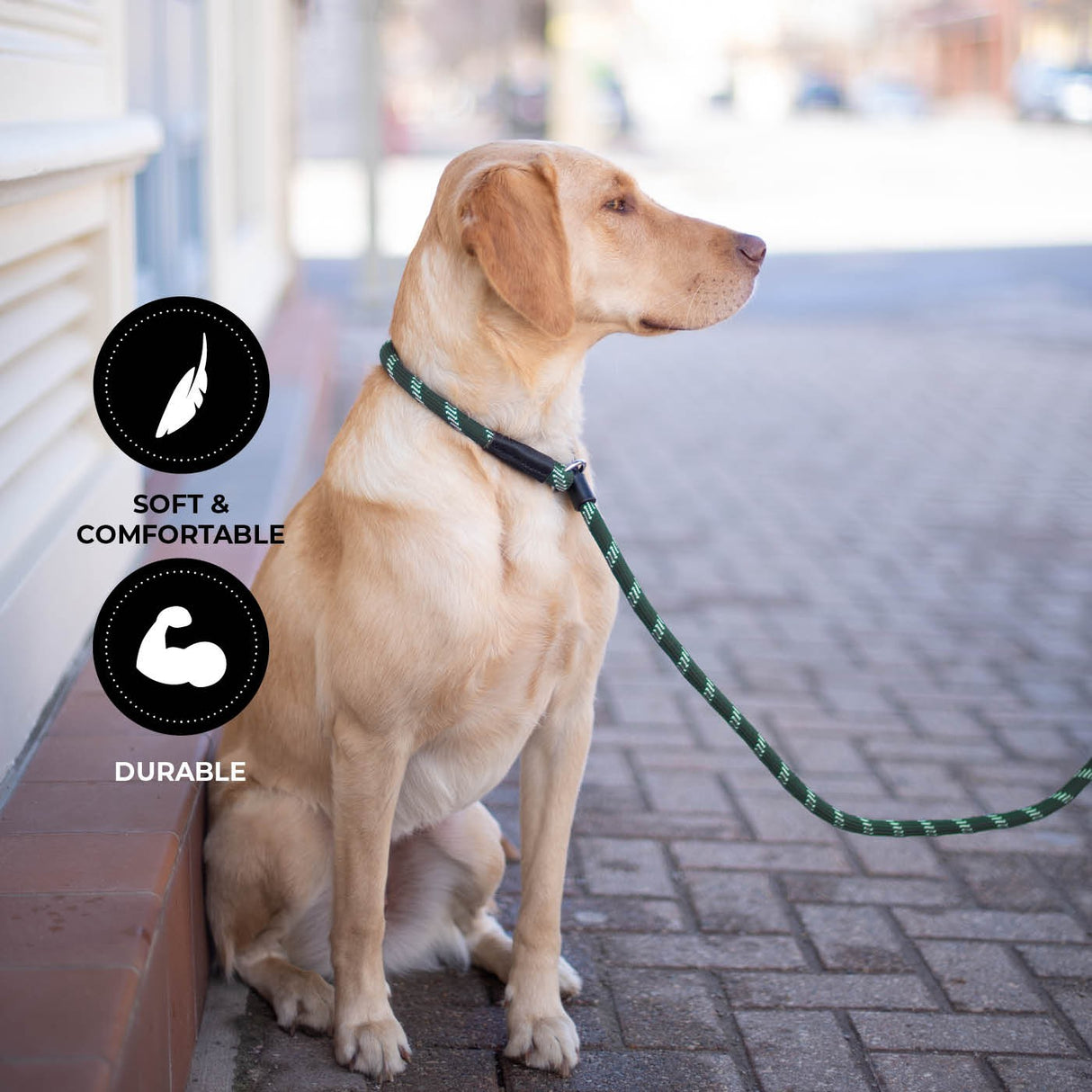 Shedrow K9 Camino Rope Slip Leash