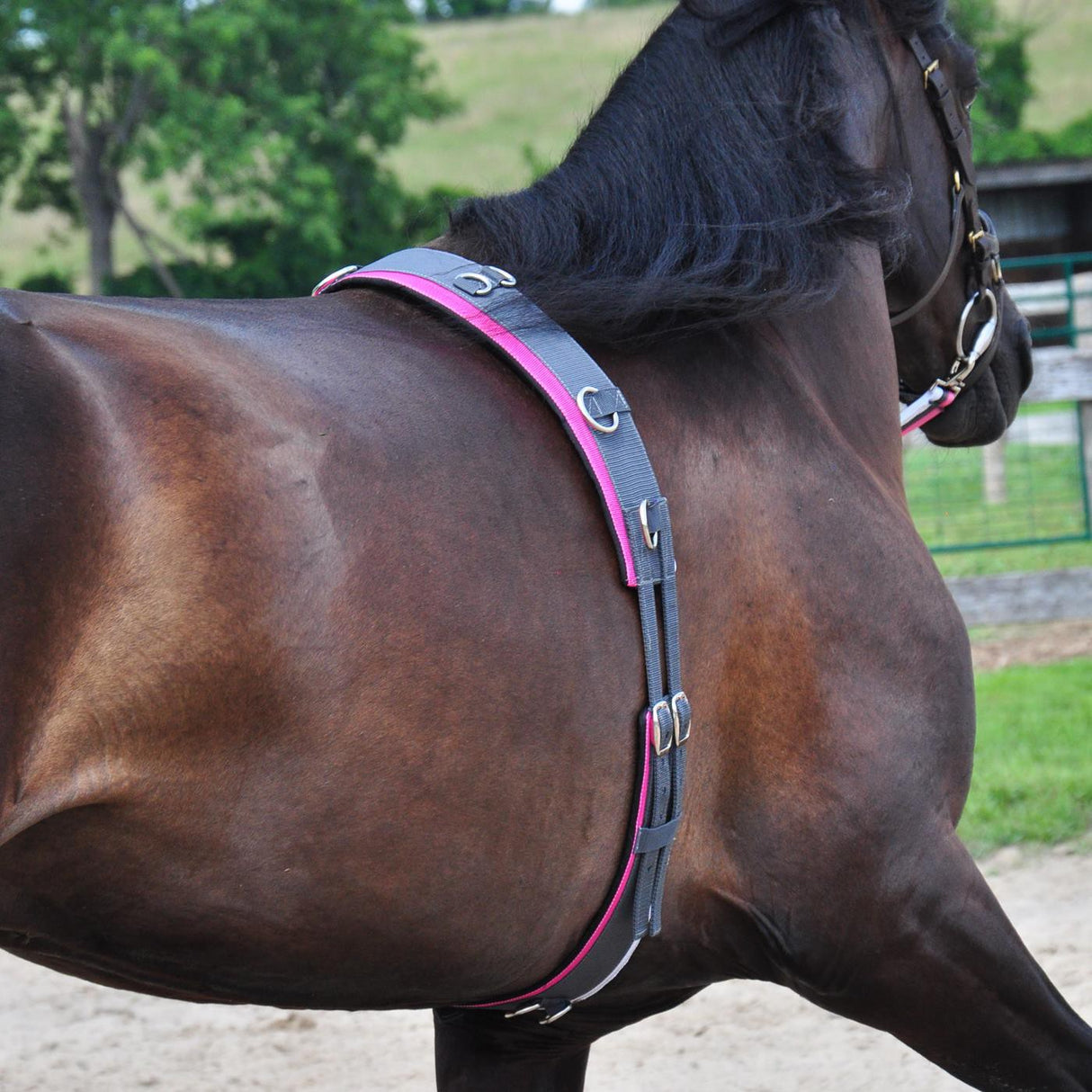 Supra Smart Lunge Set