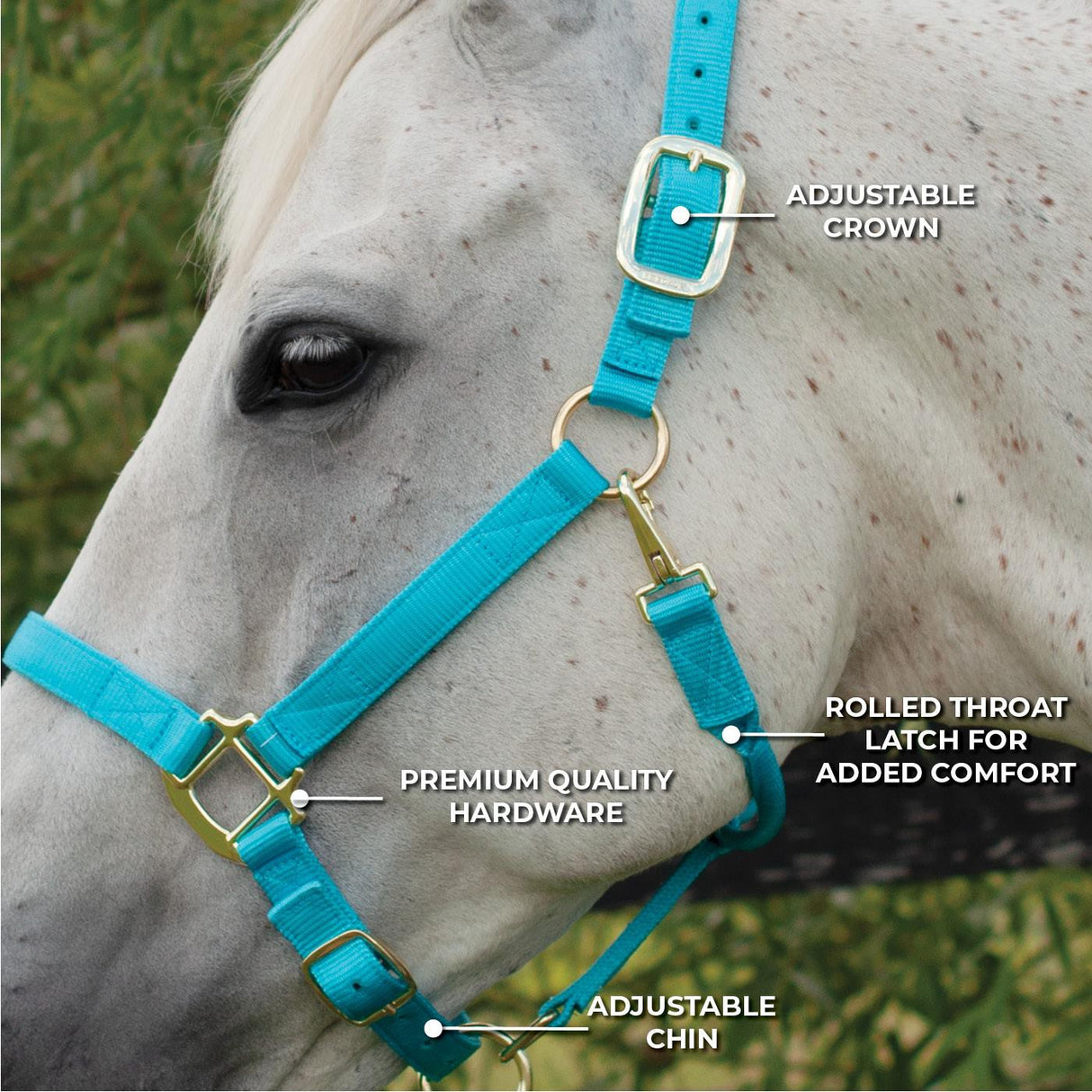 Shedrow Deluxe Halter