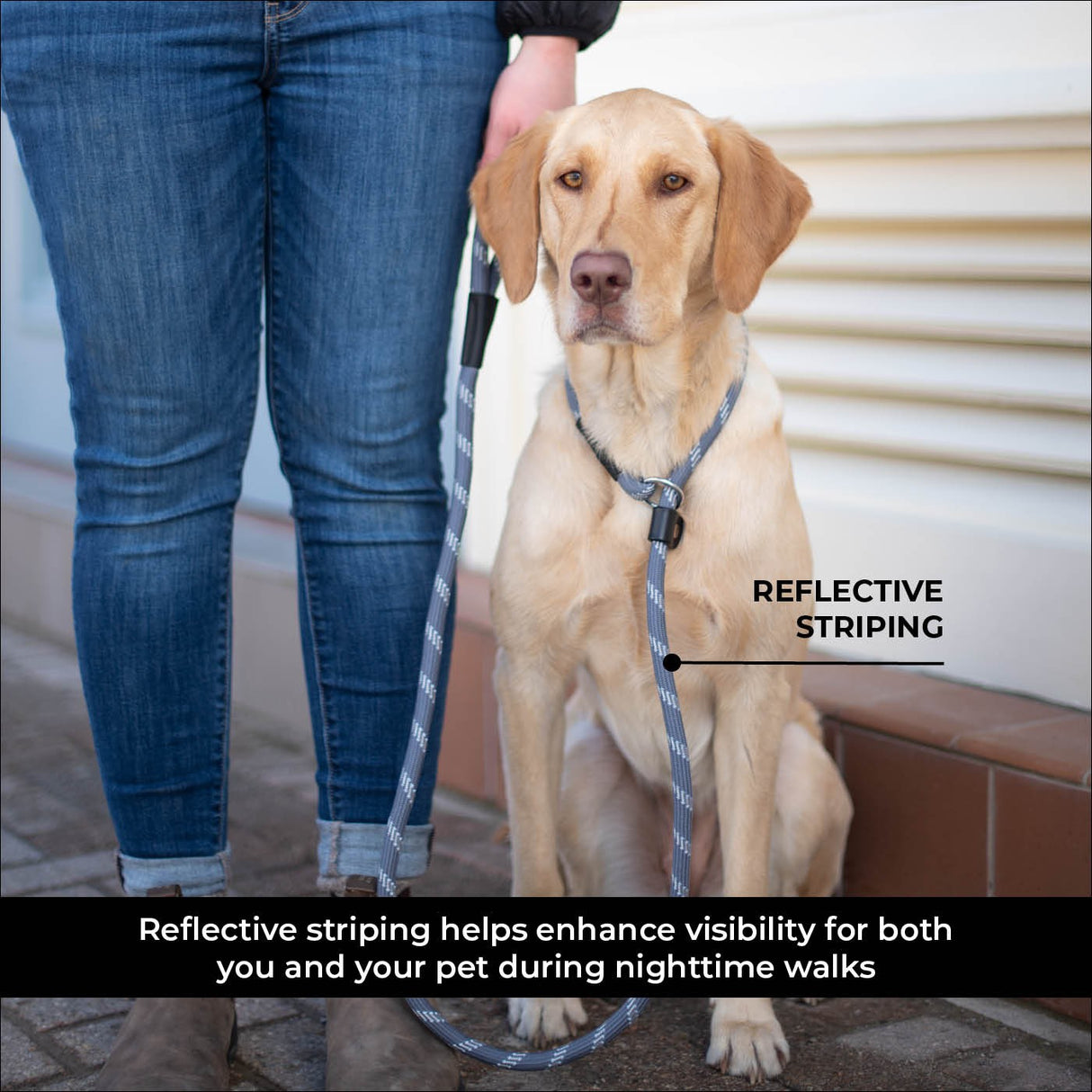 Shedrow K9 Camino Rope Slip Leash