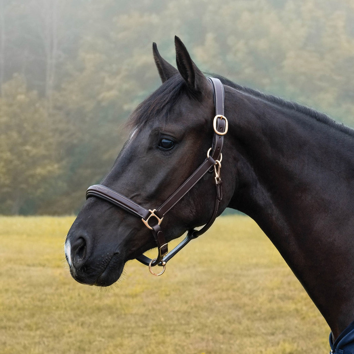 Val du Bois Padded Fancy Stitched Halter