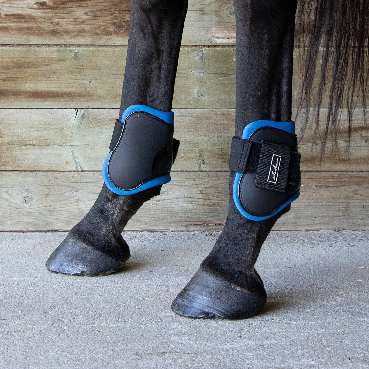 Shedrow Fetlock Boots W/ Colored Lining