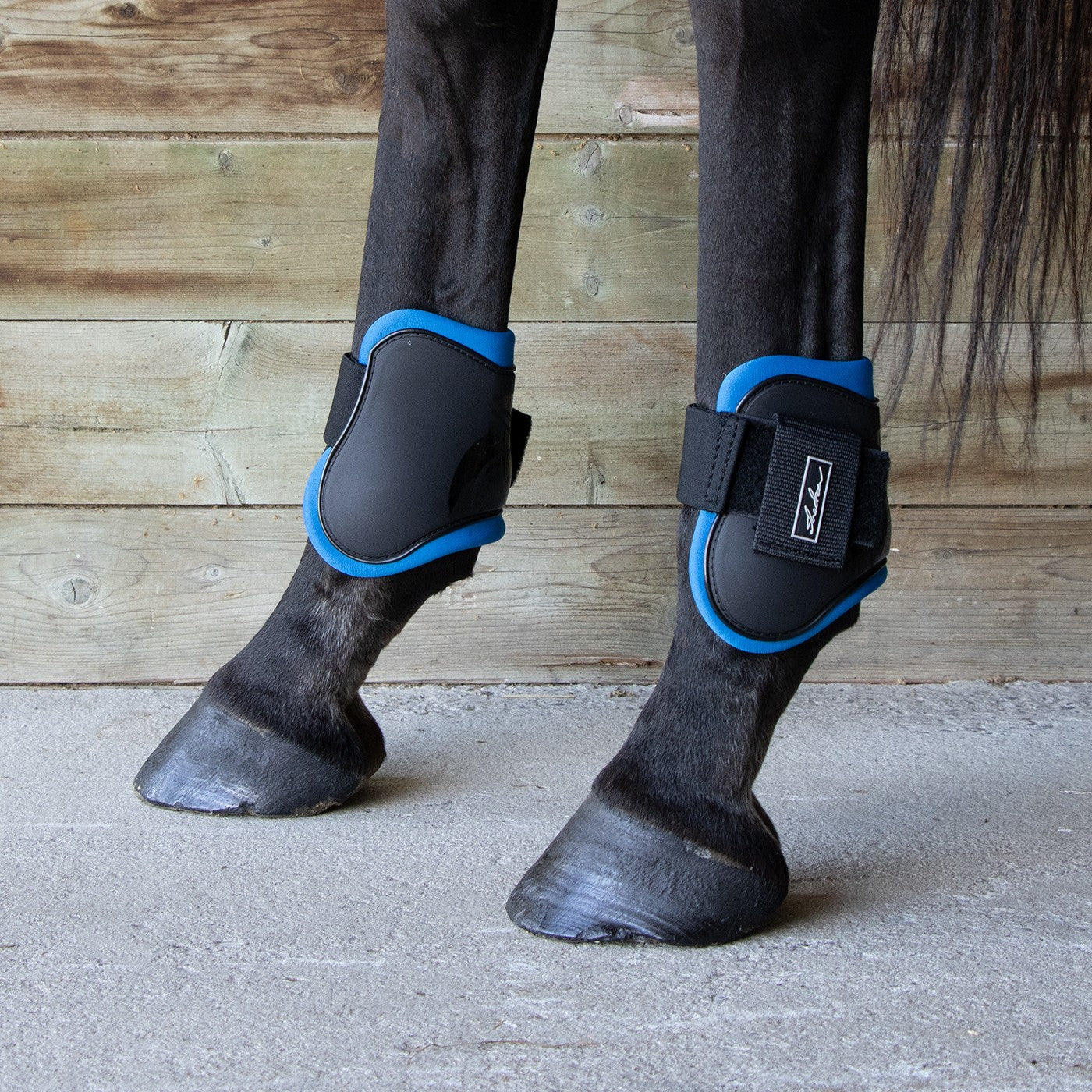 Shedrow Fetlock Boots W/ Colored Lining