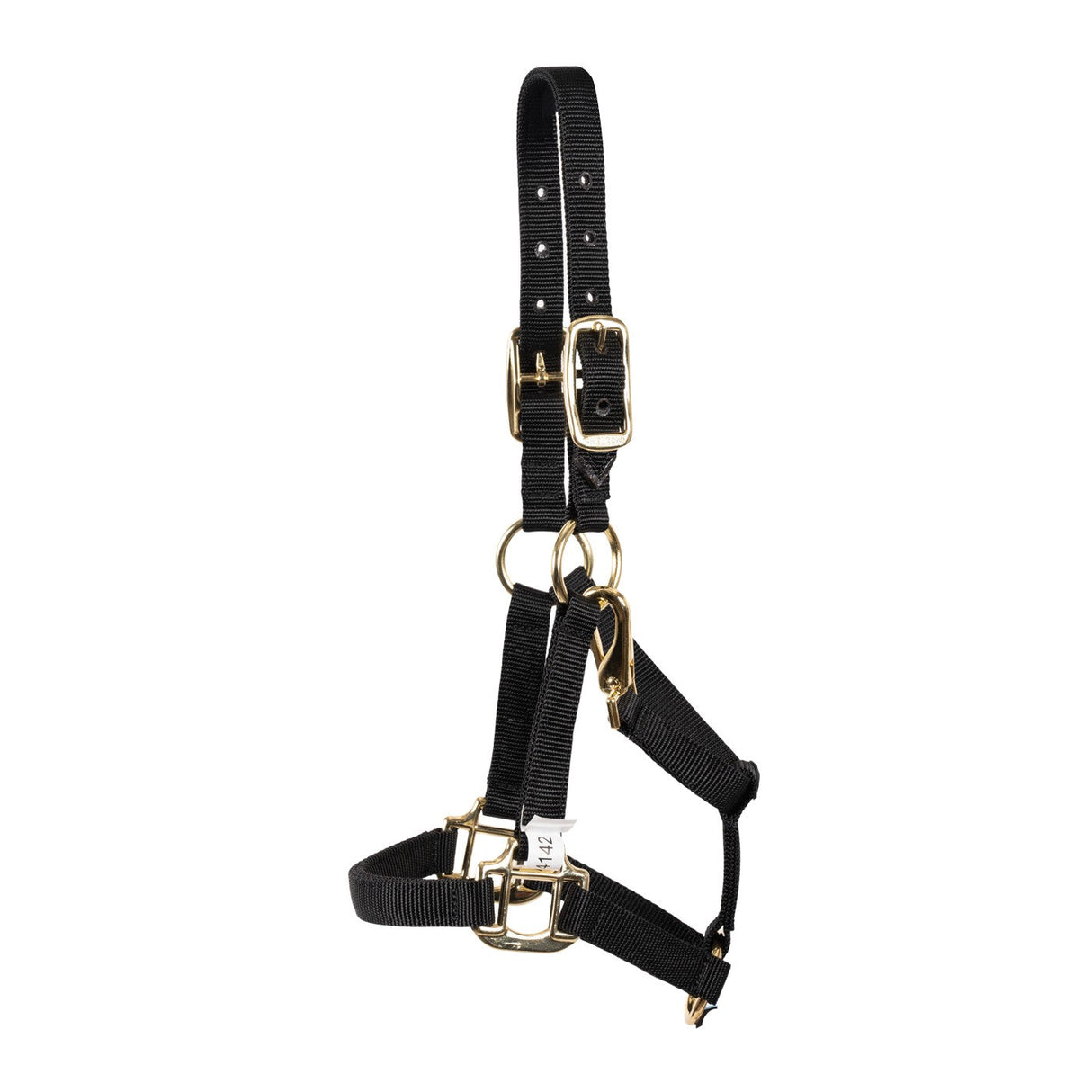 Shedrow Mini Halter