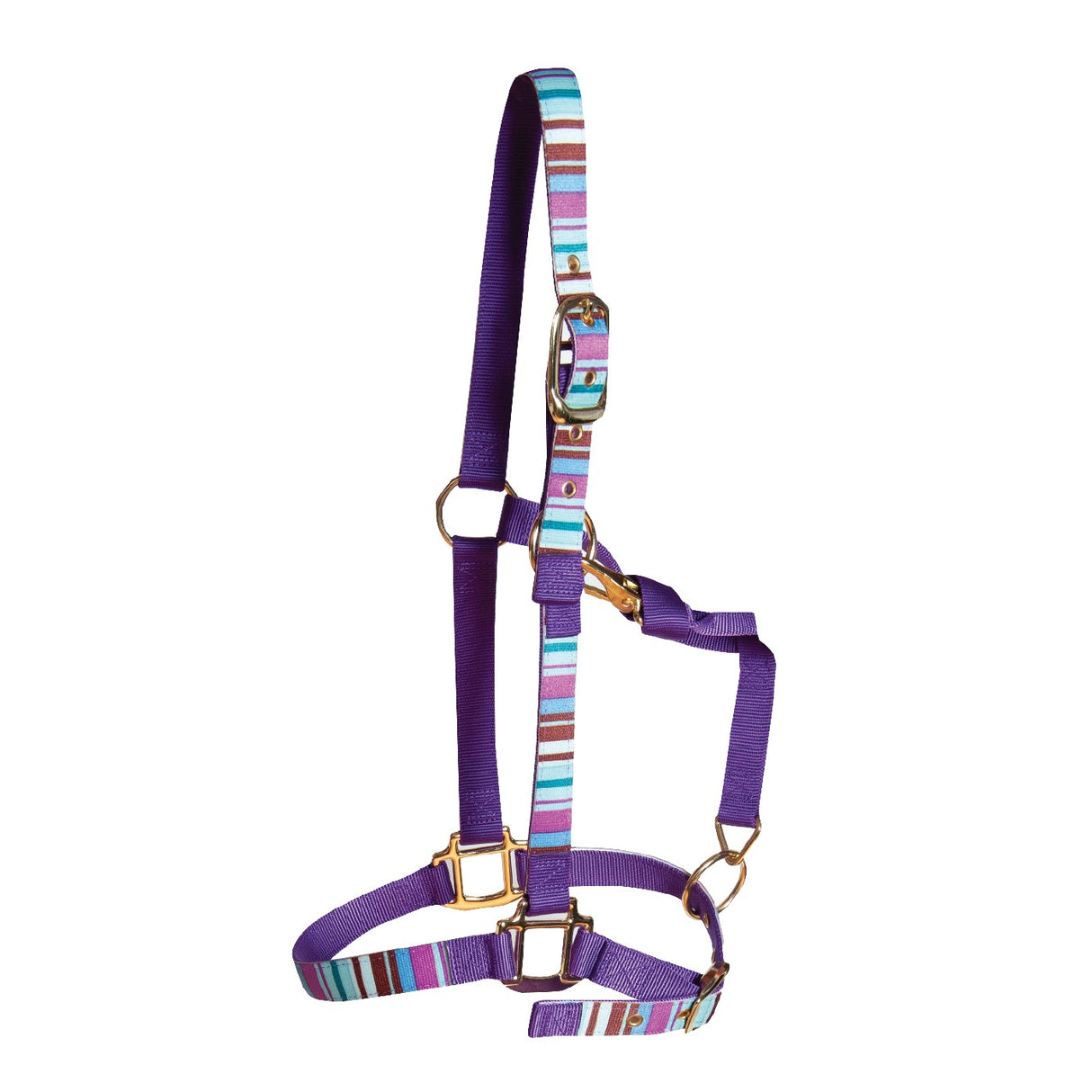 Shedrow Ribbon Halter