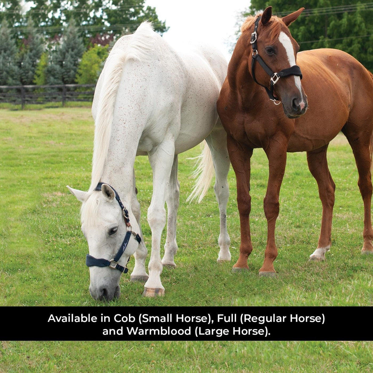 Shedrow Breakaway Halter W/ Fleece