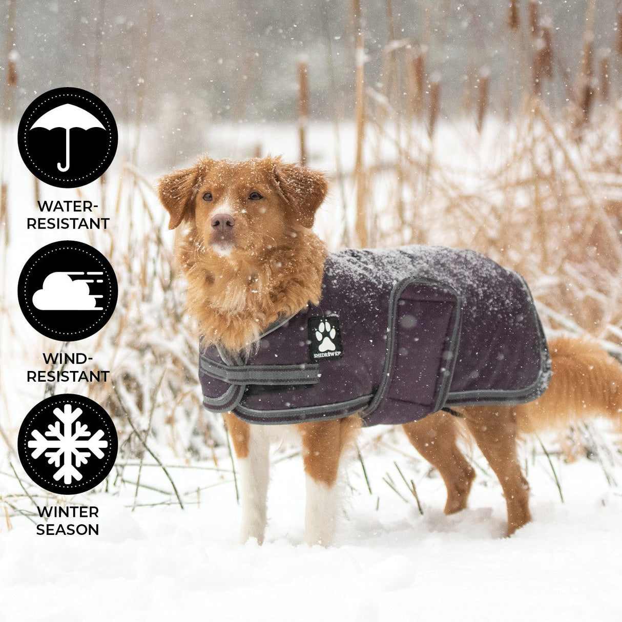 Shedrow K9 Vail Dog Coat