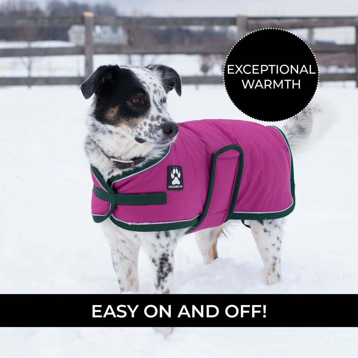 Shedrow K9 Vail Dog Coat