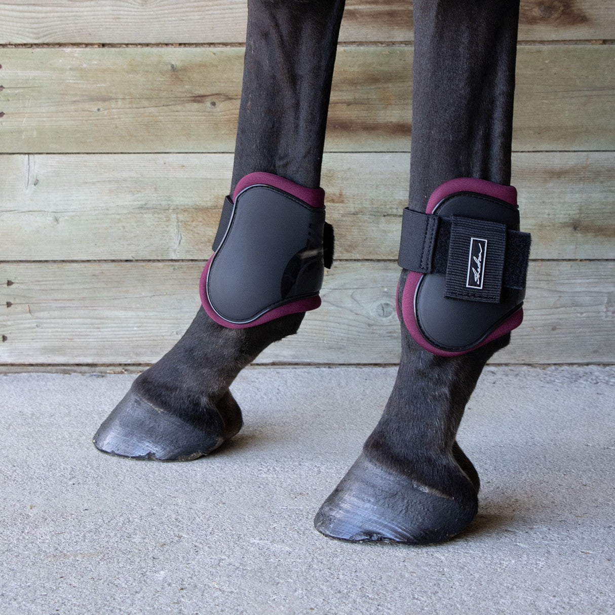 Shedrow Fetlock Boots W/ Colored Lining