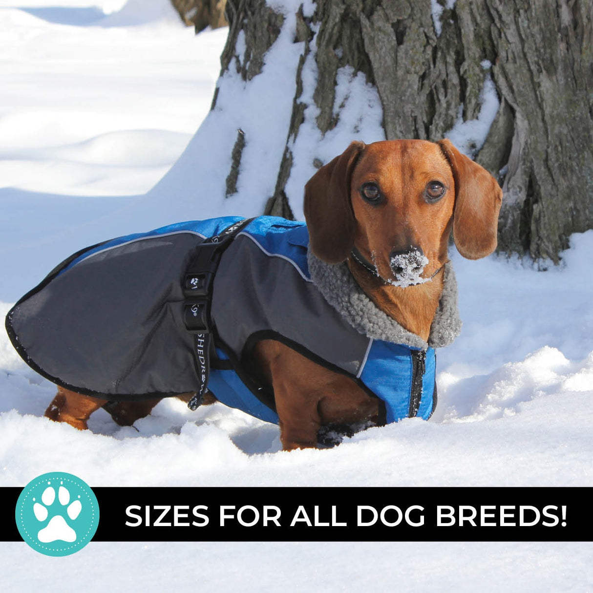 Shedrow K9 Chinook Dog Coat