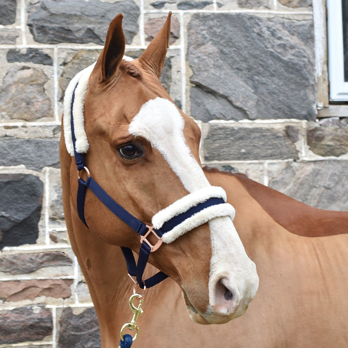 Shedrow Rose Gold Sheepskin Lined Halter