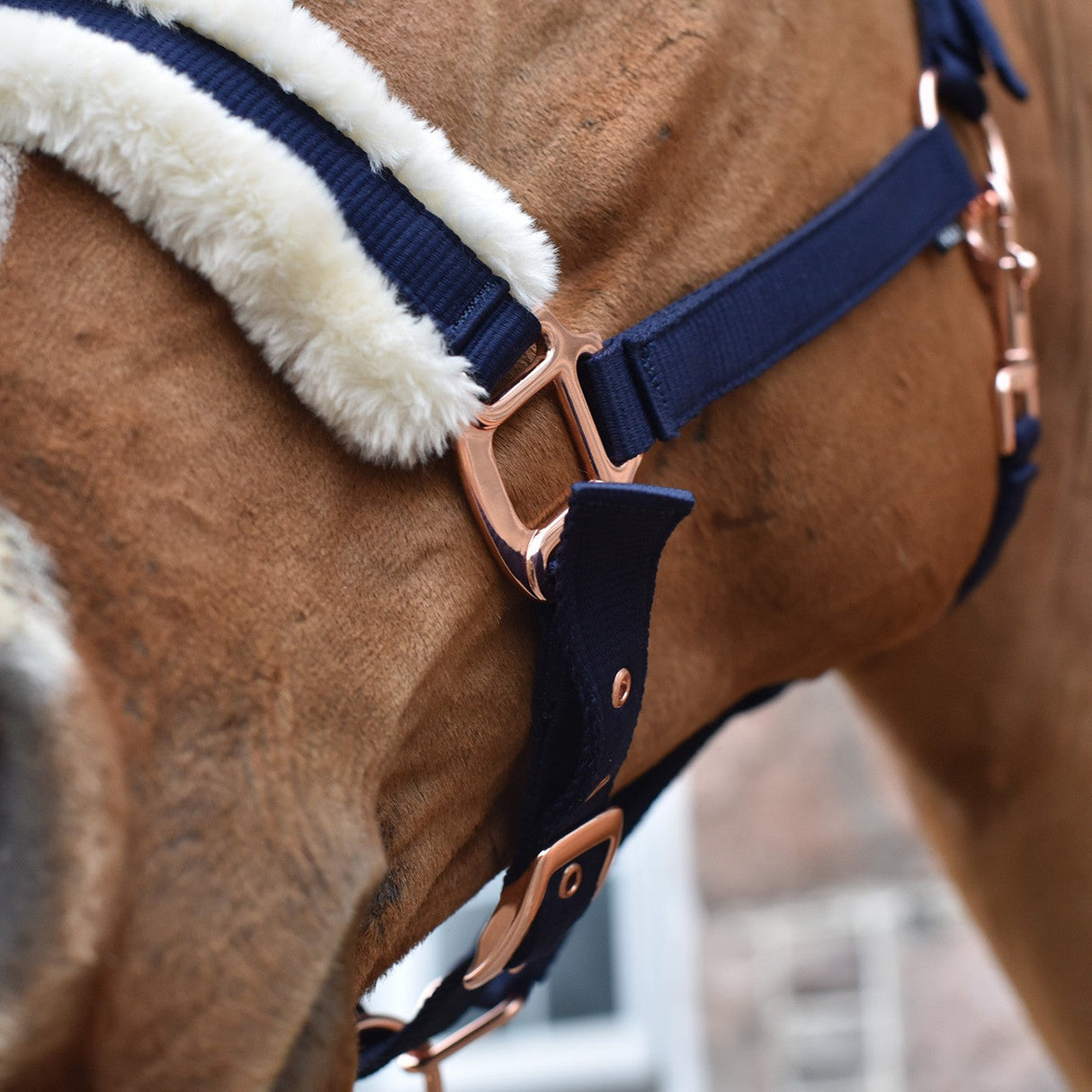Shedrow Rose Gold Sheepskin Lined Halter